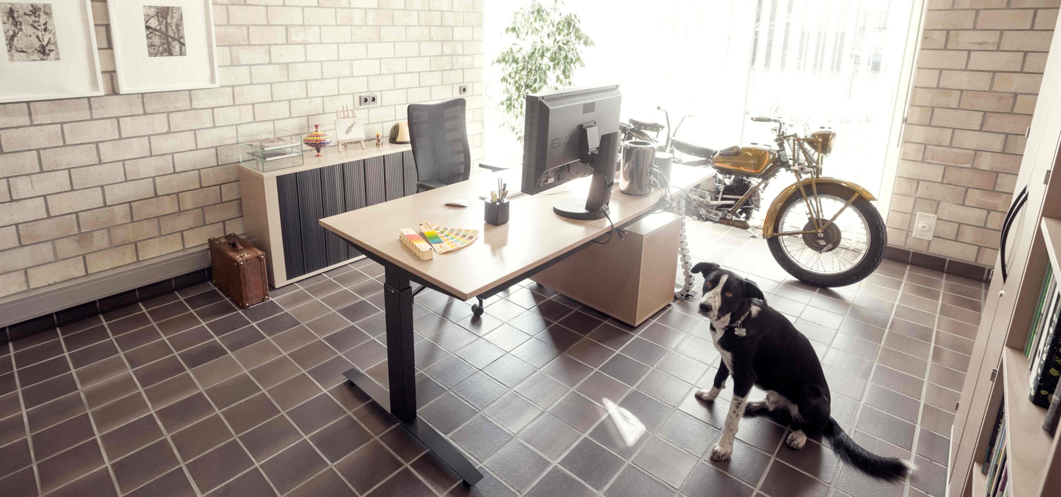 ideenspinner, werbeagentur, full service, vorarlberg, götzis